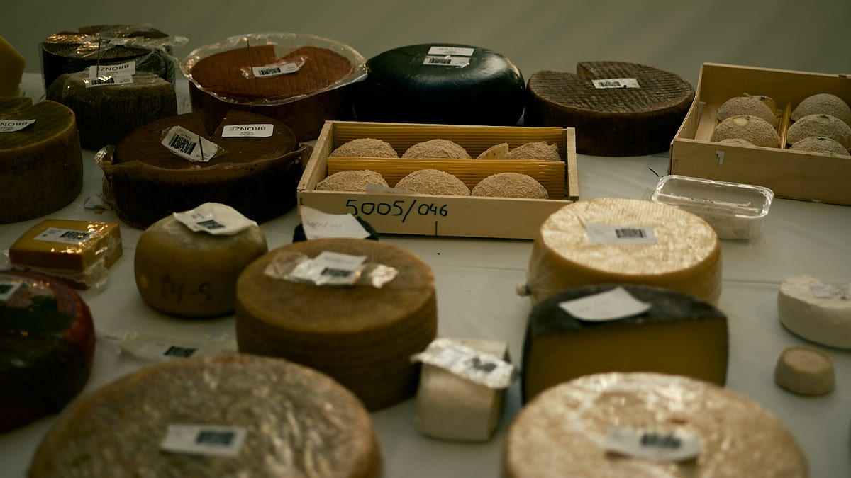 An assortment of Asturian cheeses